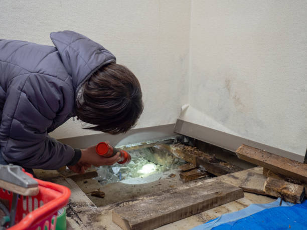Best Residential Mold Inspection & Testing  in Dellwood, MN