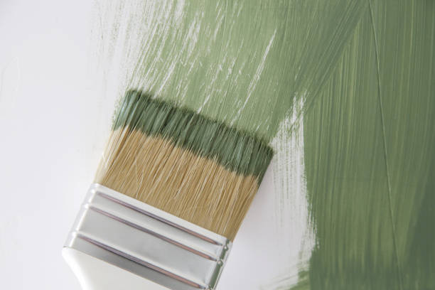 Best Basement Mold Removal  in Dellwood, MN