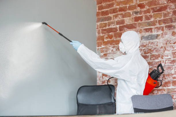 Best Mold-Related Health Consultation  in Dellwood, MN
