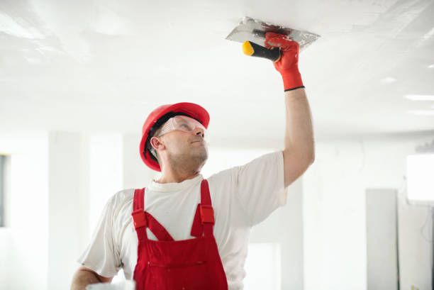 Best Dehumidification Services  in Dellwood, MN