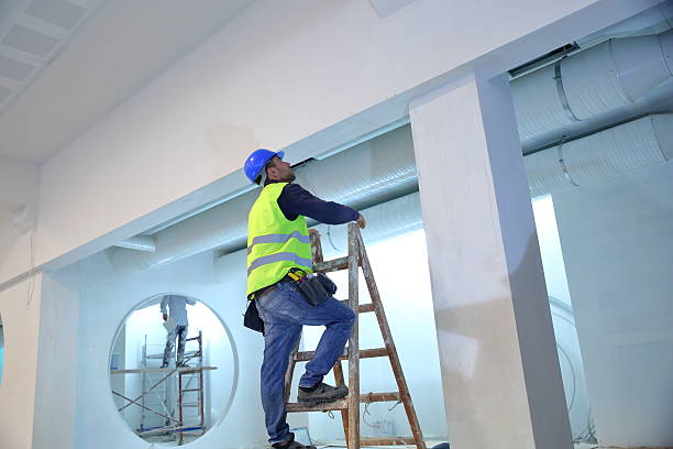 Best Emergency Mold Remediation  in Dellwood, MN